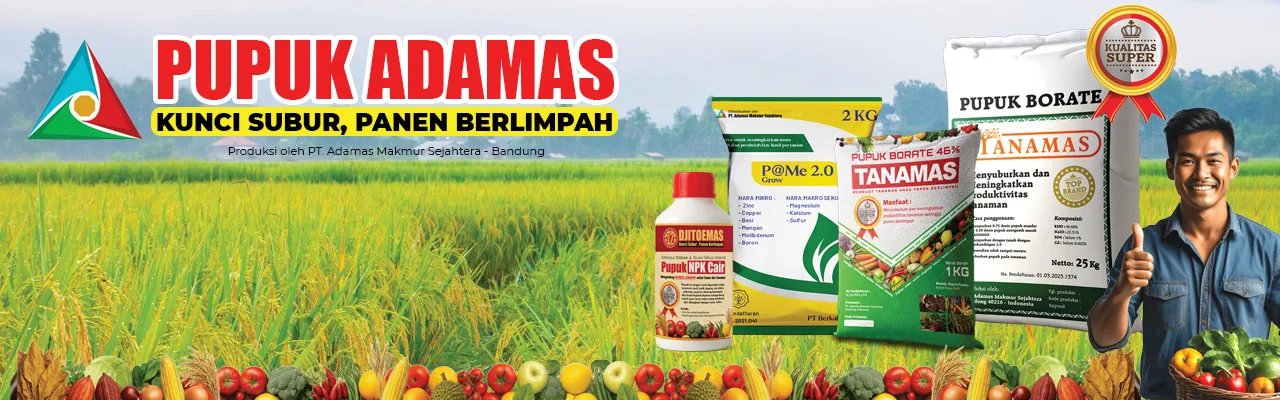 PT. Adamas Makmur Sejahtera